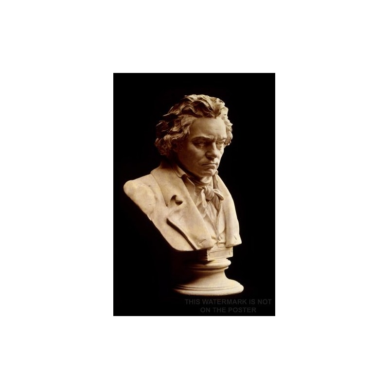 History Galore 24"x36" Gallery Poster, Ludwig van Beethoven bust by