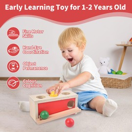 Smartwo Montessori Toy from 1 Year, Baby Wooden Toy from 9 Months, Object Permanent Box for Baby 12-18 Months, Motor Skills Toy for Early Development, Gift for Girls and Boys