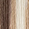 Sugar'N Cream Yarn - Ombres-Chocolate