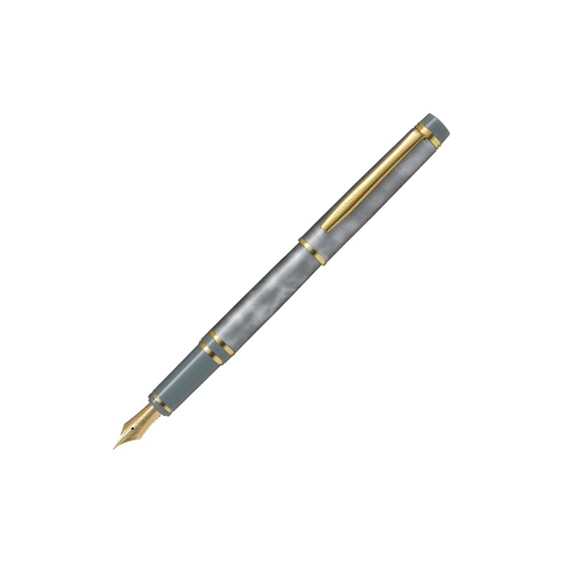 PILOT FGRC2MRMAGYF FGRC2MRMAGYF Fountain Pen