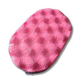 Soap Filled Exfoliating Sponge (Ms De-Your)