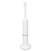 Plaque Remover IPX7 Waterproof Multifunction Electric Teeth Cleaning Kit for