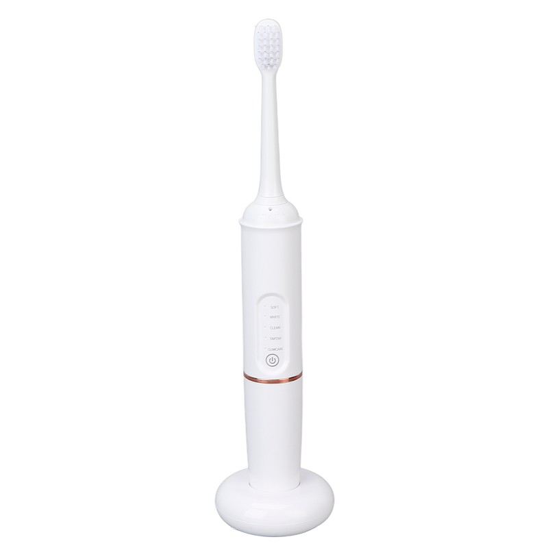 Plaque Remover IPX7 Waterproof Multifunction Electric Teeth Cleaning Kit for