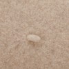 Seeberger Scheffau Series Women's Knitted Beret - beige