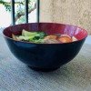 JapanBargain Large Soup Bowl Japanese Style Plastic Ramen 52 oz
