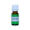 Hypericum perforatum C30, 10 g globules