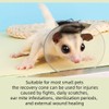 MANON ROSA Hamster Recovery Cone-E Collar & 2Pcs Self-Adhesive Bandages