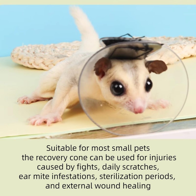 MANON ROSA Hamster Recovery Cone-E Collar & 2Pcs Self-Adhesive Bandages