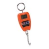 Portable Electronic Scale High Accuracy Digital Hanging Scale 200kg Weight