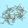 HEALLILY 100 pieces copper nails for killing trees, removing stumps,