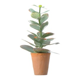 Main + Mesa Decorative Faux Succulent in Terracotta Colored Pot for Indoor Décor, 18" Succulent