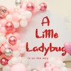 A Little Ladybug is On The Way Decal - Little