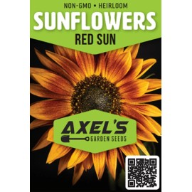 Axel's Garden Seeds Sunflower Seeds - Rare Red Sun Orange, Heirloom, Free Shipping! - 50 Seeds