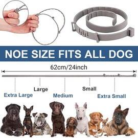 NHQZ Pack of 2 Safety Light Collar for Dogs and Cats, Up to 8 Months Protection, Individually Adjustable, Fluorescent Collar, Universally Adjustable to Any Size