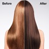 Black Hair Colour, Colouring Shampoo for Men and Women, Colouring