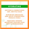 Cantu Avocado Hydrating Leave-In Conditioning Cream, 12 oz (Pack of