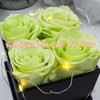 ZLEVEAYN 4 Pcs Fresh Preserved Roses in a Box Forever