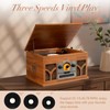 10-in-1 Record Player with Built-in Speakers Wireless Playback, CD &