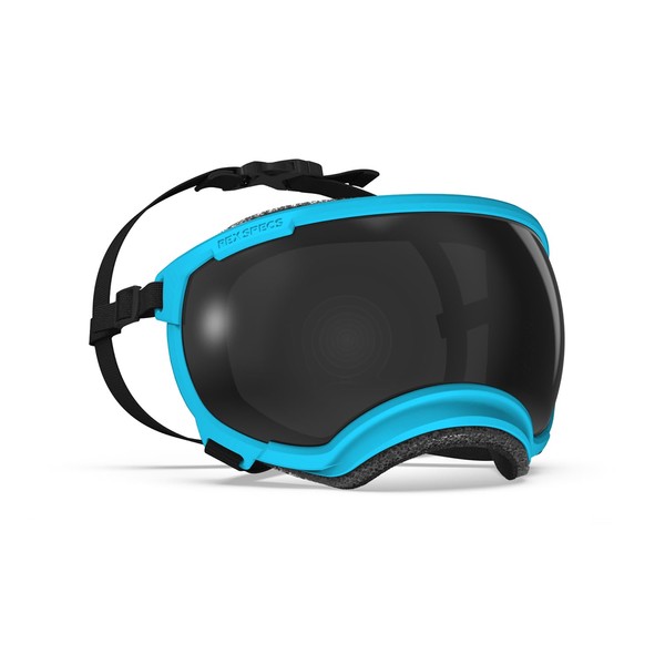 Rex Specs V2 Dog Goggles (X-Large, Big Horn Blue)
