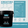 Creatina Muscle Life Monohidratada 3kg 600 Servicios Varios