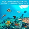BLMHTWO 24 PCS Ocean Animals Figures,Sea Animals Toys Plastic Sea
