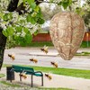 DECYOOL 4 Pack Wasp Nest Decoy Natural Paper Hornet Deterrent