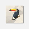 Unbranded Triangulated Toucan Animal 4'' X 4'' Square Wooden Coaster