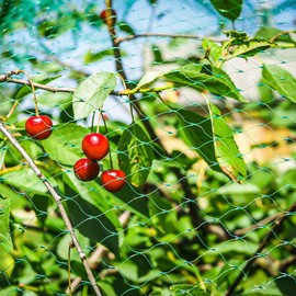 MAILEKT Bird Nets Bird Protection Net, Bird Net, 4 x 10 m for Garden and Raised Bed, Effective Protection Against Pigeons and Other Birds, Tight Mesh and Stable for Fruit Trees, Strawberries and
