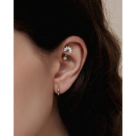 COCHARM Cute Silver Flower Rook Earrings 16g Sparkling Rook Barbells for Women Stainless Steel 8mm Rook Piercing Dainty Rook Jewelry Silver Rook Bar