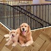 Children's Balcony Guardrail Net, Banister Guard Net for Baby, Balcony