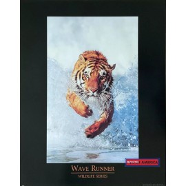 Undisclosed Wildlife Series Wave Runner Vintage Tiger Poster 22 x 28