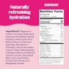 Ultima Replenisher, Raspberry, 90-Serving, 10.2 Ounce