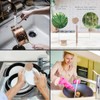 1PCS Bamboo Brush Handle and 5PCS Replacement Heads, Natural Sisal