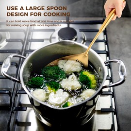 Snailhouse Slotted Skimmer Spoon, Stainless Steel Pasta Noodle Fryer Spider Strainer Scoop Ladle Spoon with Handle for Cooking Frying, Gold