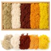 Iceland Moss, Moss in 5 Different 200 g for Moss