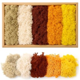 Iceland Moss, Moss in 5 Different 200 g for Moss Pictures, Preserved Moss, Moss for Crafts, Moss Decoration, Artificial Moss, Moss Preserved, Decorative Moss, Craft Moss, Art Moss for Crafts (D)