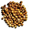Nelson's Tea - Coriander Seed - Whole (1 oz)