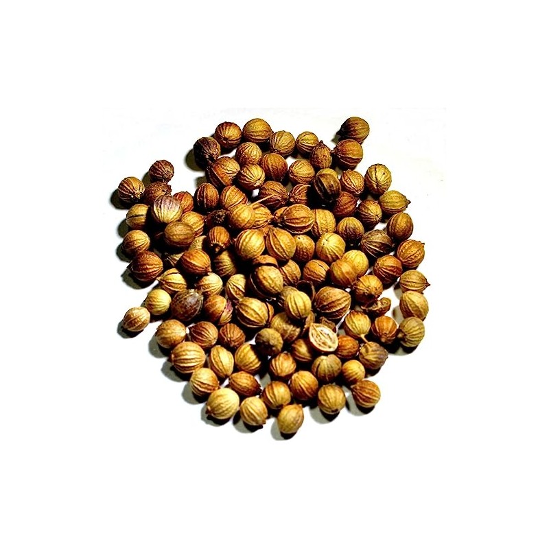 Nelson's Tea - Coriander Seed - Whole (1 oz)