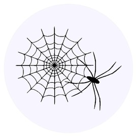 24 x 40mm Round 'Spider's Web' Stickers (SK00068975)
