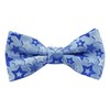 Alizeal Boys Printed Fun Novelty Pre-tied Kids Bow Tie, Light