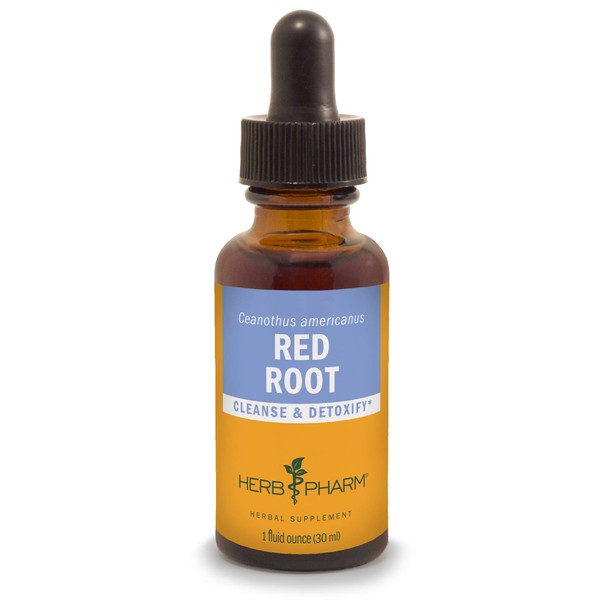 Herb Pharm Red Root Liquid Extract for Cleansing and Detoxifying - 1 Ounce (DRROOT01)