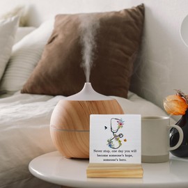 Absnfatu Inspirational Gifts for Nurses Doctors, Medical Nursing Student Gifts, Nurse Doctor Gifts, School Nurse Gifts, Medical Doctor Nurse Office Desk Decor, Floral Stethoscope Wood Desk Sign Plaque