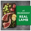 FYNORI Lamb & Fava Bean Recipe Dry Dog Food, Grain-Free,