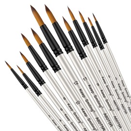 Brush 12-Piece Set, Professional Fine Tip Brush Set, Round Tip, Nylon Hair, Artists, Acrylic Brushes for Acrylic, Watercolour, Oil Painting (Round)