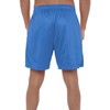 Popfunk Looney Tunes Road Runner Mens Lined Mesh Shorts, Royal,