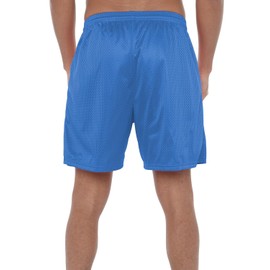 Popfunk Looney Tunes Road Runner Mens Lined Mesh Shorts, Royal, Small