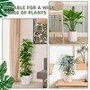Stackable Mesh Moss Pole for Indoor Plants Monstera Climbing Plants