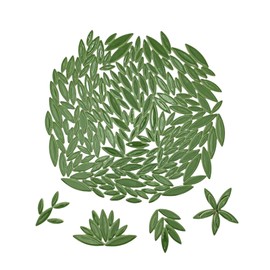 Leaf Petal Ceramic Mosaic Tiles for Crafts, 500g/1.1LB Irregular Mosaic Pieces, Petal Mosaic Tiles DIY Mosaic Making Stones for Craft Hobby Arts Wall Decoration (Green)