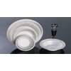 Plexware White Plastic Plates With Silver Swirl Rim 9 Inch-