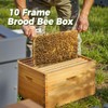 POLLIBEE 8 Frame Deep Brood Bee Hive Box Dipped in